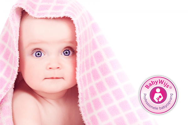 BabyWijs: BreinWijs (0-2 jaar)